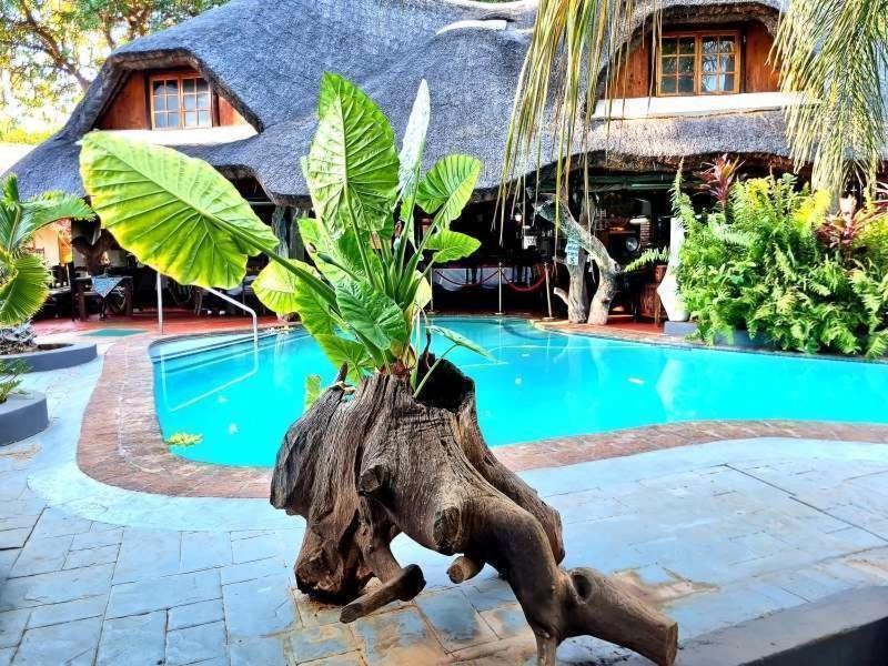 Dei Gratia Guest House Musina Bagian luar foto