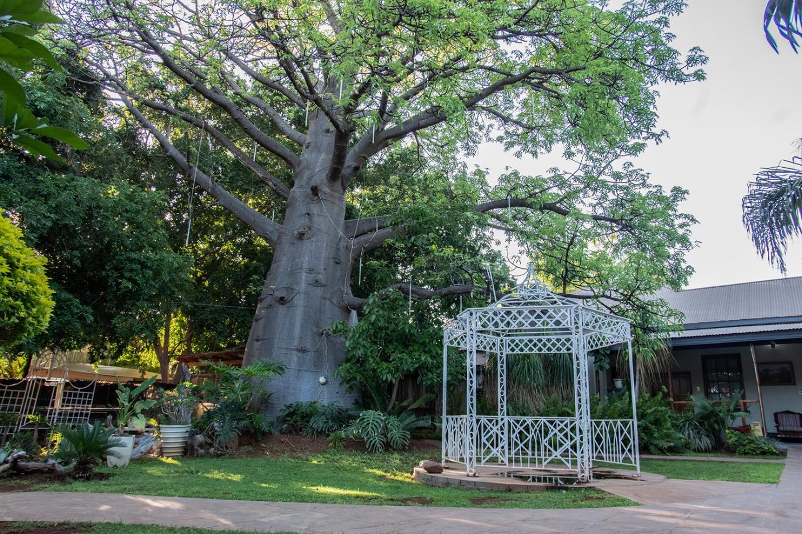 Dei Gratia Guest House Musina Bagian luar foto